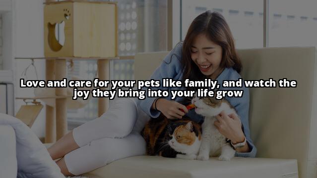 Uncover Vital Pet Tips for Responsible Pet Ownership