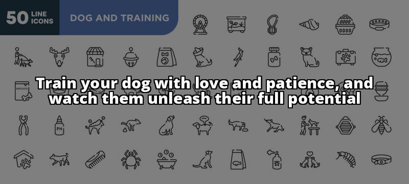 Hoopers Dog Training Near Me: Your Ultimate Guide