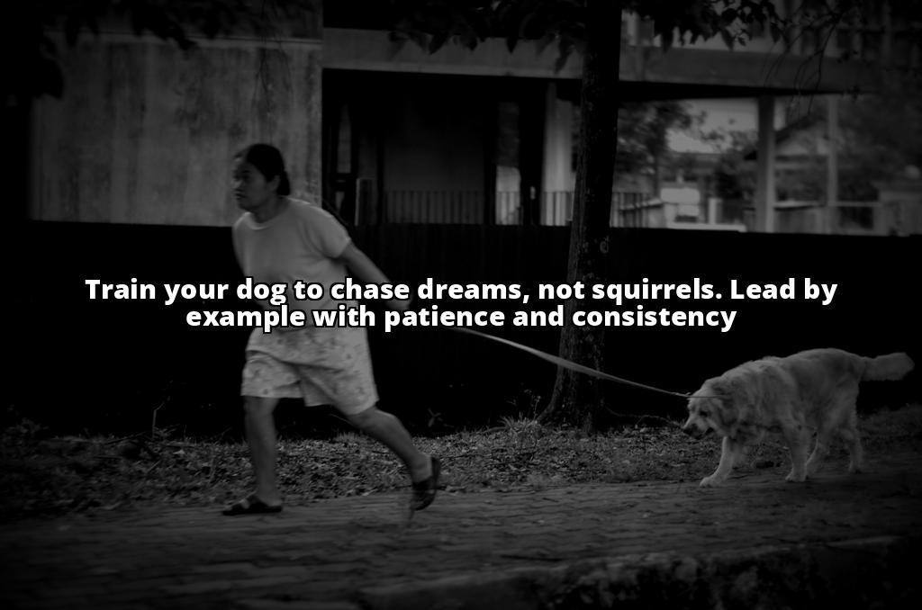 Stop Dogs Chasing Squirrels: Effective Training Strategies