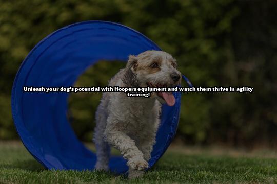 Hoopers Dog Equipment: Revolutionize Your Dog's Training