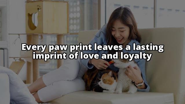 The Paw-fect Care Routine for Your Beloved Pet