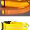 Collar-Yellow