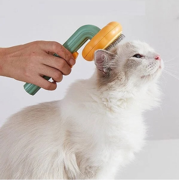 Self Cleaning Brush