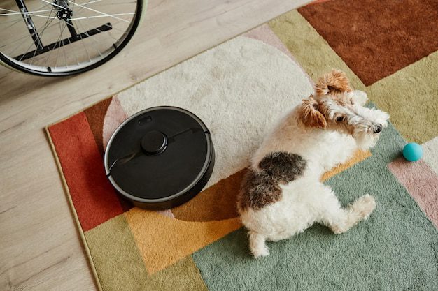 Dog with robot vacuum cleaner