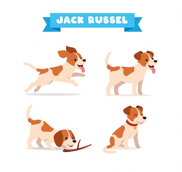 colorfuelstudio from Freepik: Cute jack russel dog animal pet with many pose bundle set