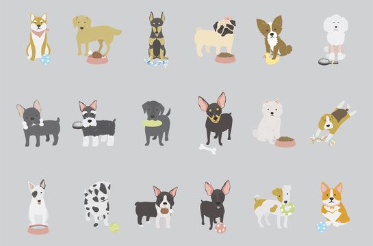 Illustration o animals