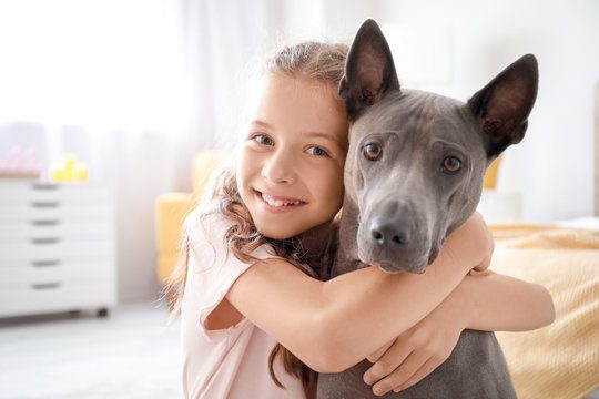 Little girl with cute dog at home