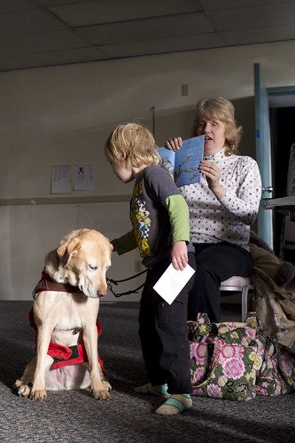 Meeting a Service Dog