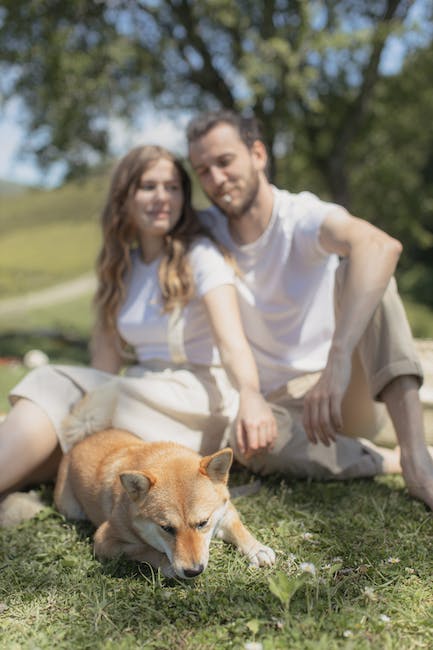 A Dog Lying on Green Grass Near a Couple Sitting on Green Grass