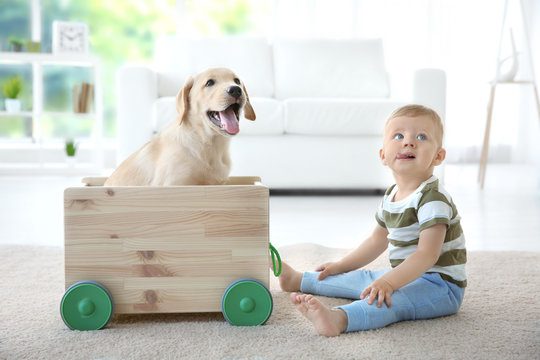 Cute child and Labrador Retriever playing with wooden toy cart at home