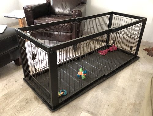 Puppy playpen.