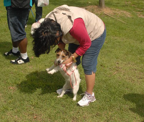 The Dog Show - U.S. Army Garrison Humphreys, South Korea - 8 September 2012