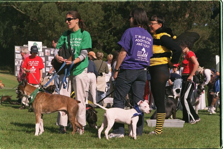 a group of people standing around a dog - File:VOLUNTEERs from SF Animal Care and Control at Pet Pri