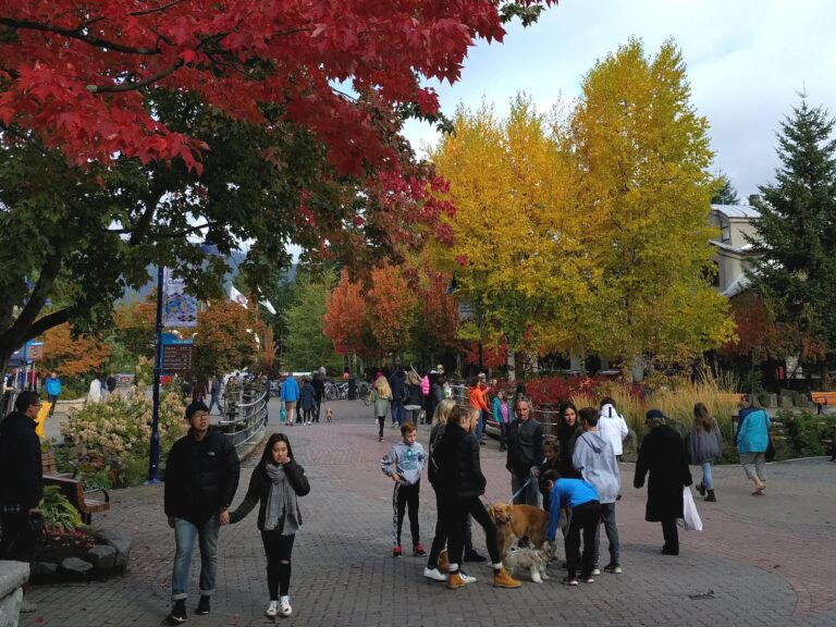 a group of people walking around a park with a dog - File:Autumn colours and plenty of dogs to pet (