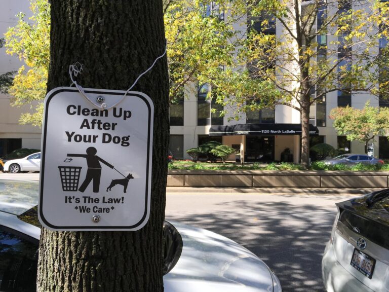 a sign on a tree - File:Clean up after your dog. It's the law. We care (26478233439).jpg