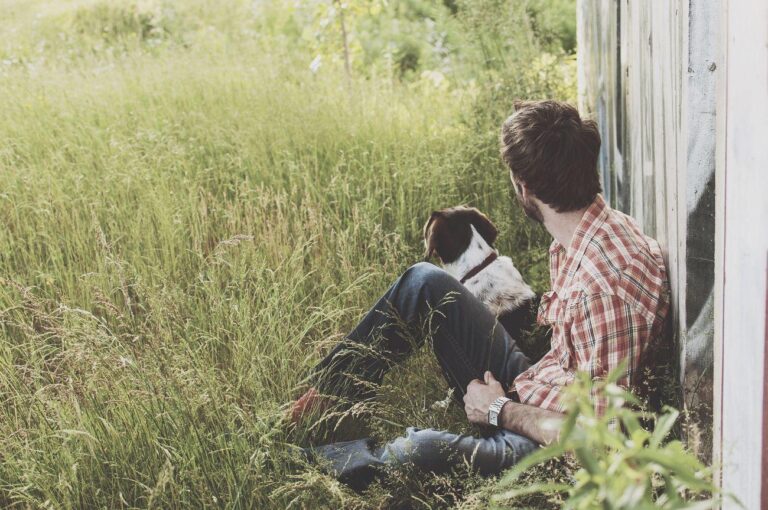 Dog companion, animal photography - a man and his dog in the grass