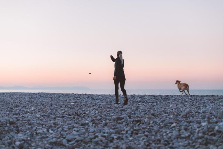 Walking Dog - a woman standing on a rocky beach with a dog