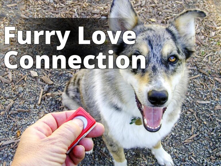 Dog clicker training 1 - a dog with a toothbrush in its mouth