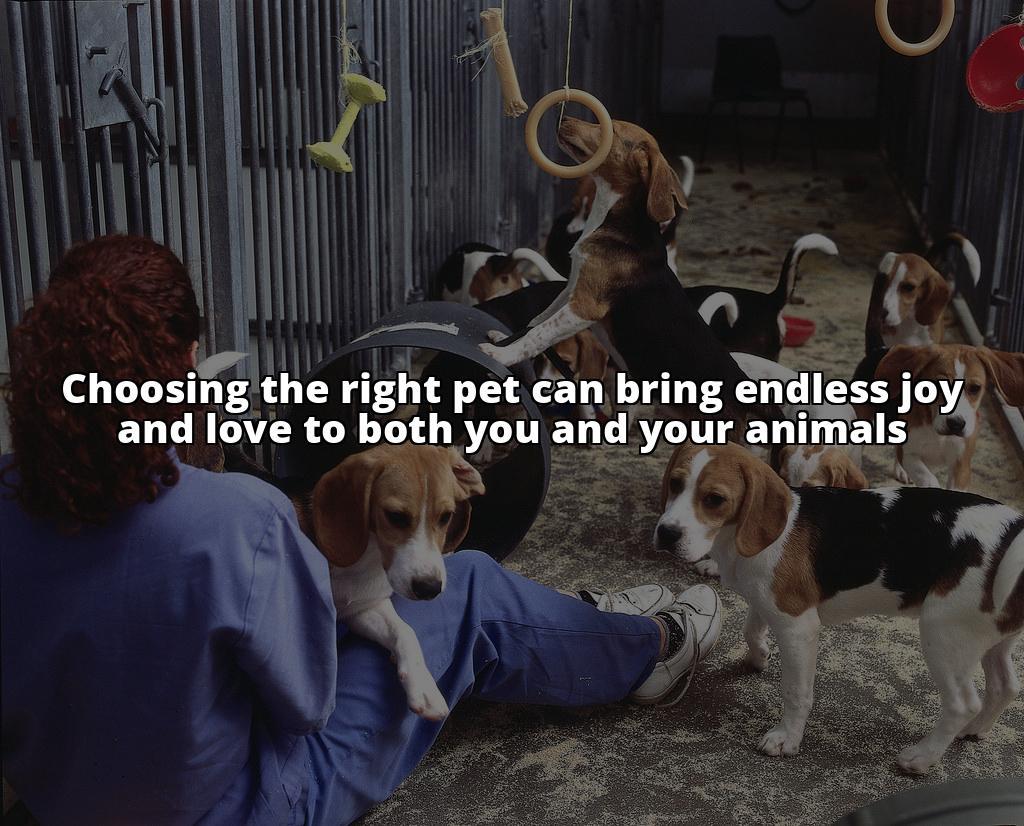 The Complete Guide to My Animals: From Choosing to Caring for Your Pets