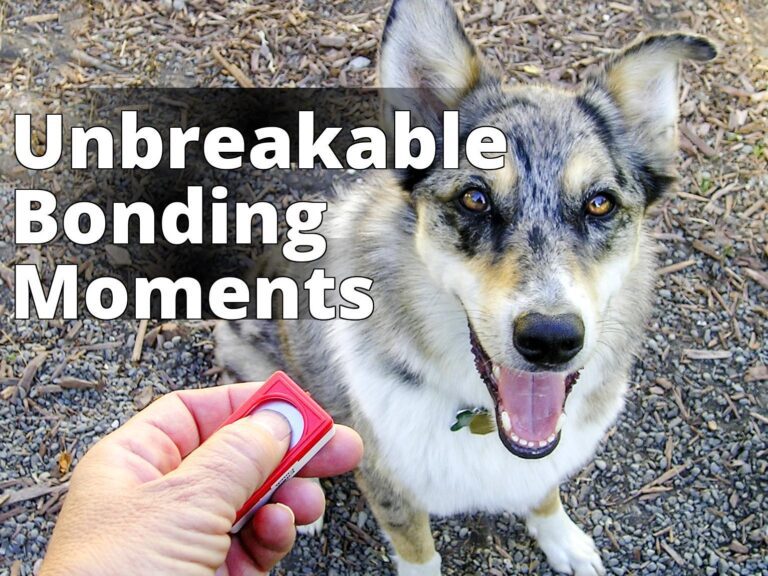 Dog clicker training 1 - a dog with a toothbrush in its mouth