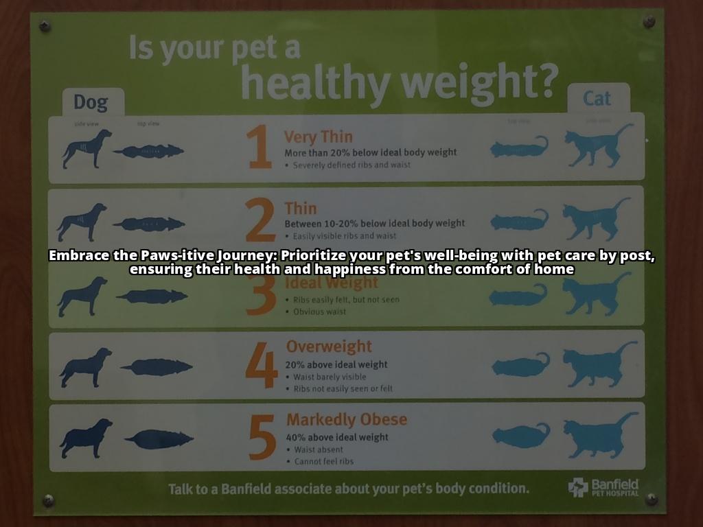 Ensuring Your Pet's Well-Being with Pet Care by Post: A Step-by-Step Guide