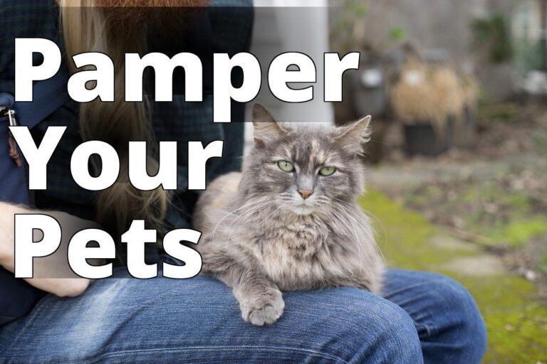 Maine coon cat image - a woman sitting on a bench holding a cat