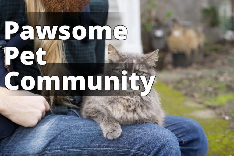 Maine coon cat image - a woman sitting on a bench holding a cat