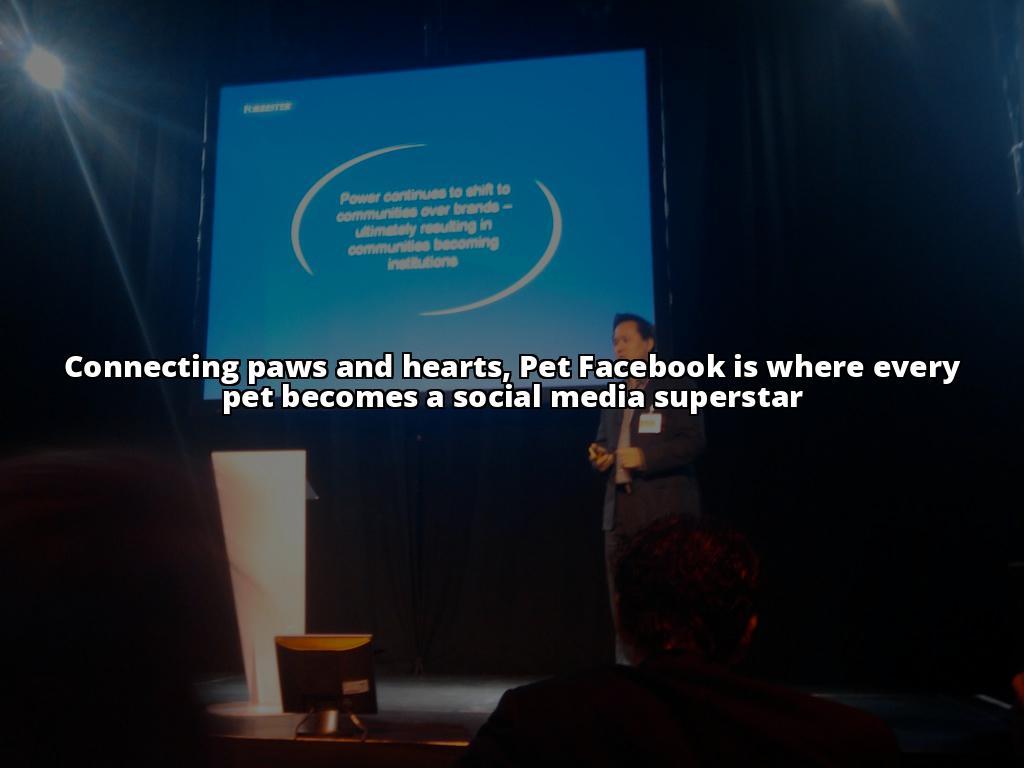 Pet Facebook 101: The Essential Guide to Building a Pet-Loving Community