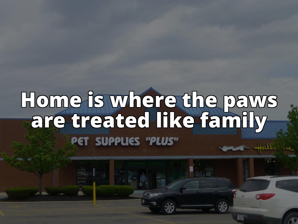 Must-Have: Pets at Home Dog Treats for Happy Tail Wags