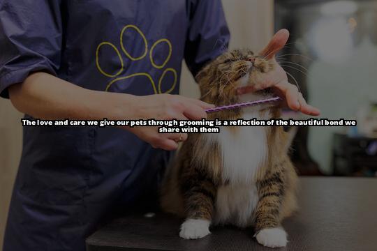 The Ultimate Guide to Petting Your Pet and Strengthening Your Bond