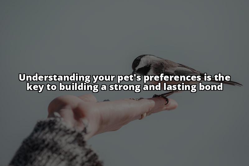 The Ultimate Guide to Petting Your Pet and Strengthening Your Bond