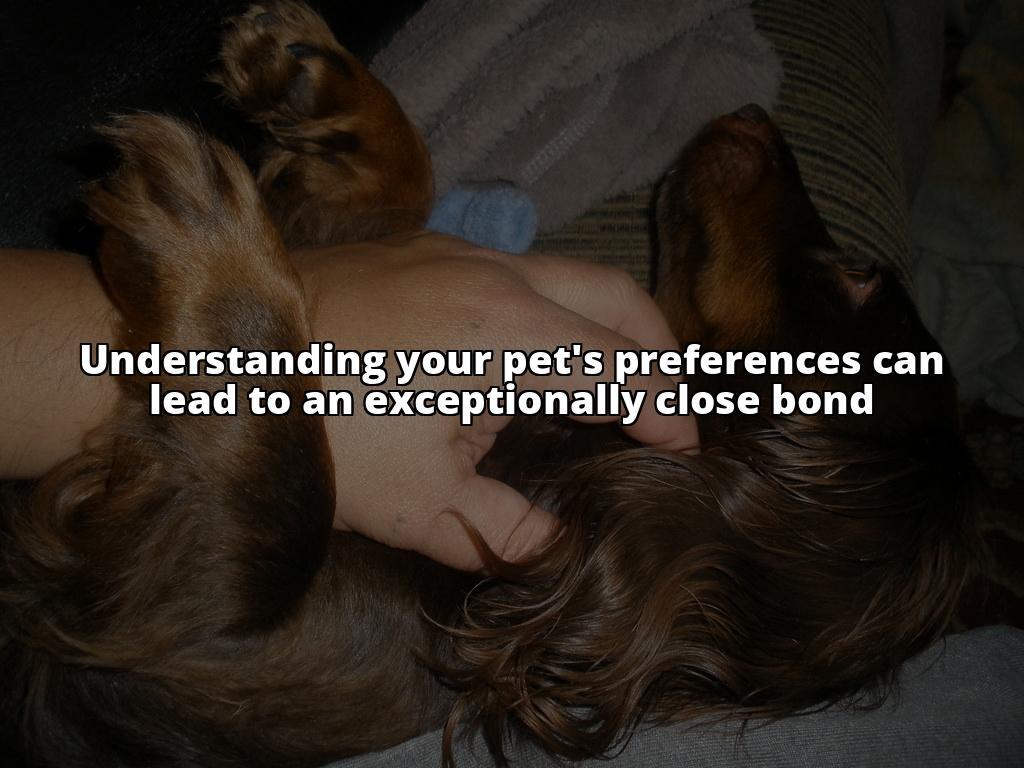 The Ultimate Guide to Petting Your Pet and Strengthening Your Bond