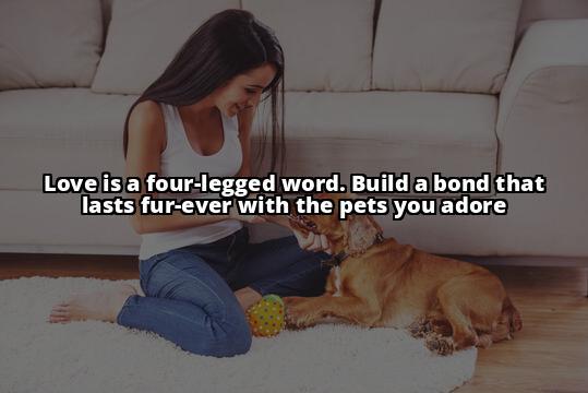 Building Strong Bonds with Pets You Love