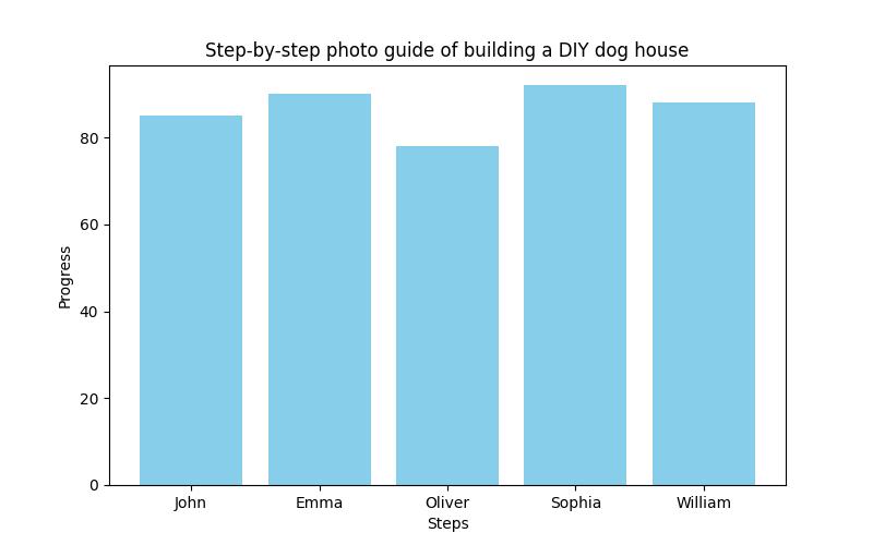 Elevate Your Pet's Comfort: The Essential Guide to Pet Houses