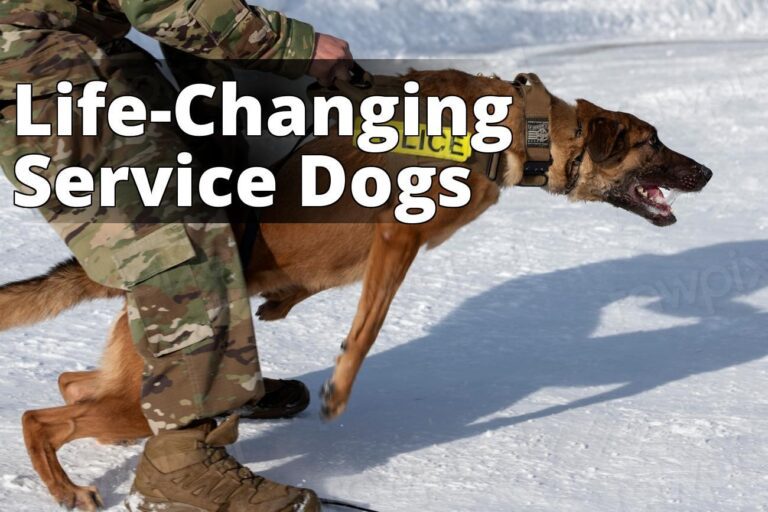 Military working dog training - a military dog is being led by a police officer