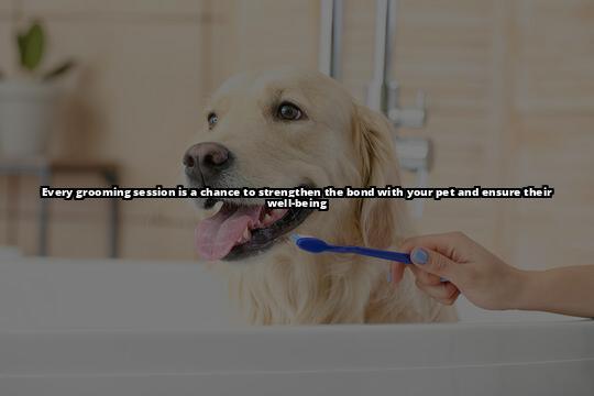 The Pet Pampering Guide: Caring for Your Beloved Companions