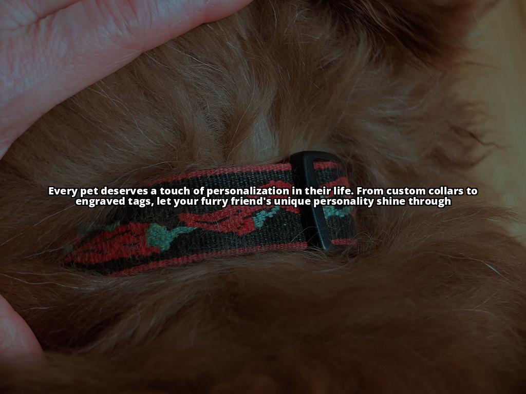 Unleash Joy: Personalized Essentials for Optimal Pets' Ownership