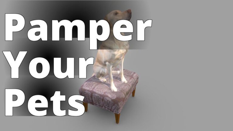 Wilson Dog Color 3D Scan - a dog sitting on top of a stool