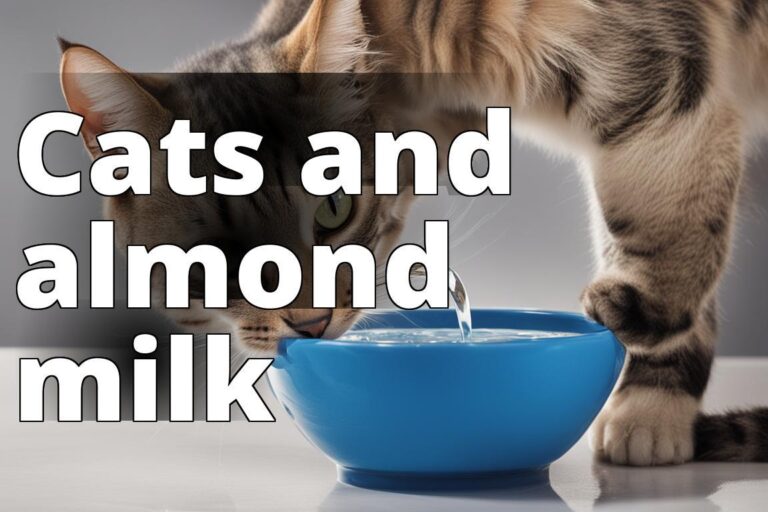 A close-up image of a cat drinking water from a bowl.