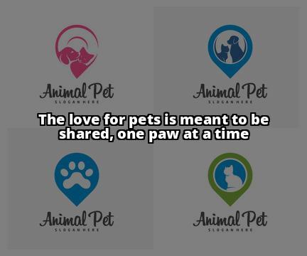 Share My Pet 101: The Complete Guide to Pet Sharing and Care