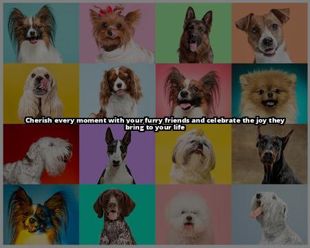 The Pet Blog Lady's Exclusive Guide to Celebrating Our Pets