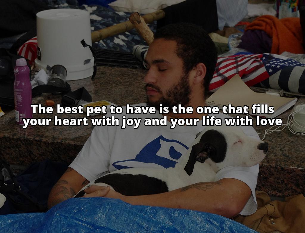 The Ultimate Guide to Choosing the Best Pet to Have as Your Companion