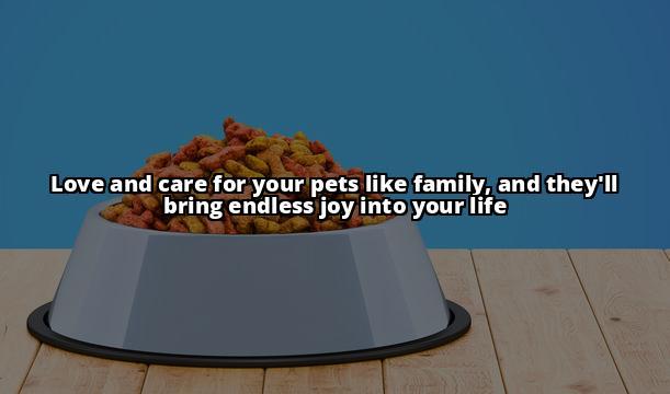 The Ultimate Pet Care Guide: Keeping Your Furry Friends Healthy and Happy