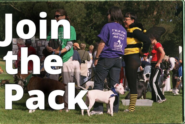 File:VOLUNTEERs from SF Animal Care and Control at Pet Pride Day, 2002.jpg - a group of people stand