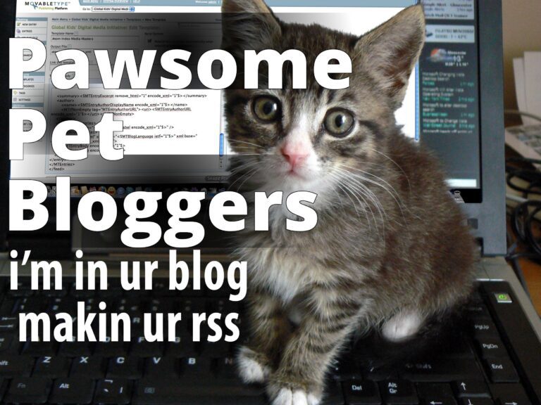 I'm in ur blog makin ur rss (lolcat) - a cat is sitting on a laptop computer