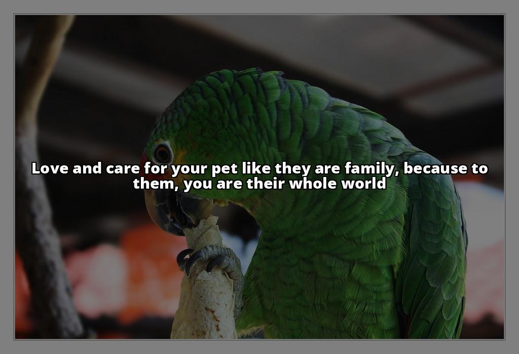 The Ultimate Guide to Caring for Your Pet: 8 Vital Ways