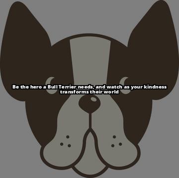 English Bull Terrier Rescue UK: How to Be a Hero for Bull Terriers