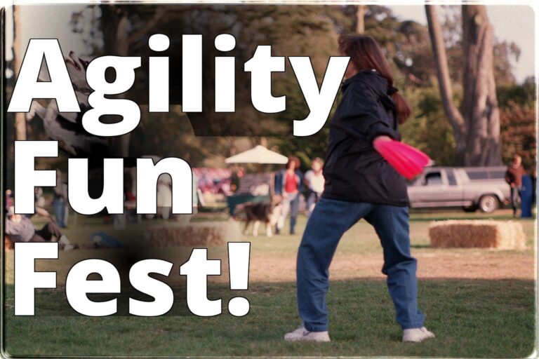 File:Frisbee playing dog at 2002 Pet Pride Day, SF.jpg - a woman in a field