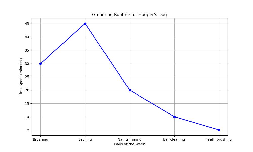 Hooper's Dog 101: Mastering Care and Training for Your Pooch