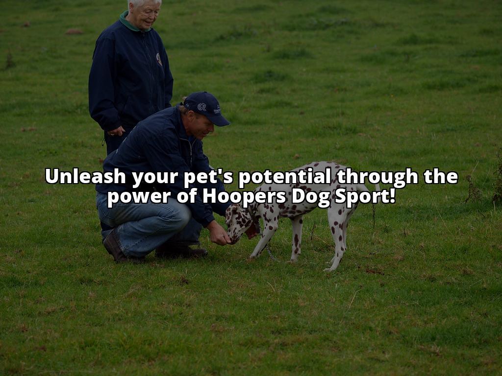 Hoopers Dog Sport: Unleash Your Pet's Potential Today!